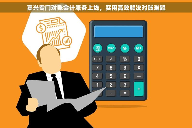 嘉兴专门对账会计服务上线，实用高效解决对账难题