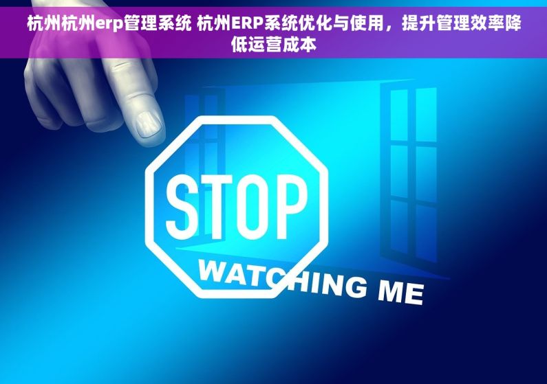 杭州杭州erp管理系统 杭州ERP系统优化与使用，提升管理效率降低运营成本