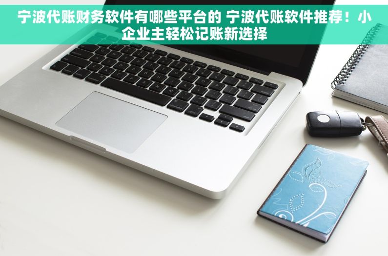 宁波代账财务软件有哪些平台的 宁波代账软件推荐！小企业主轻松记账新选择