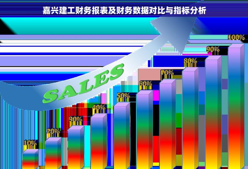 嘉兴建工财务报表及财务数据对比与指标分析