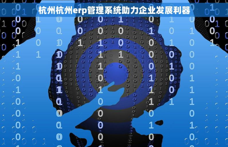 杭州杭州erp管理系统助力企业发展利器