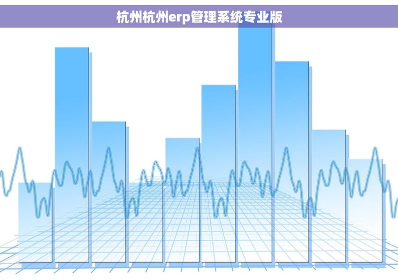 杭州杭州erp管理系统专业版