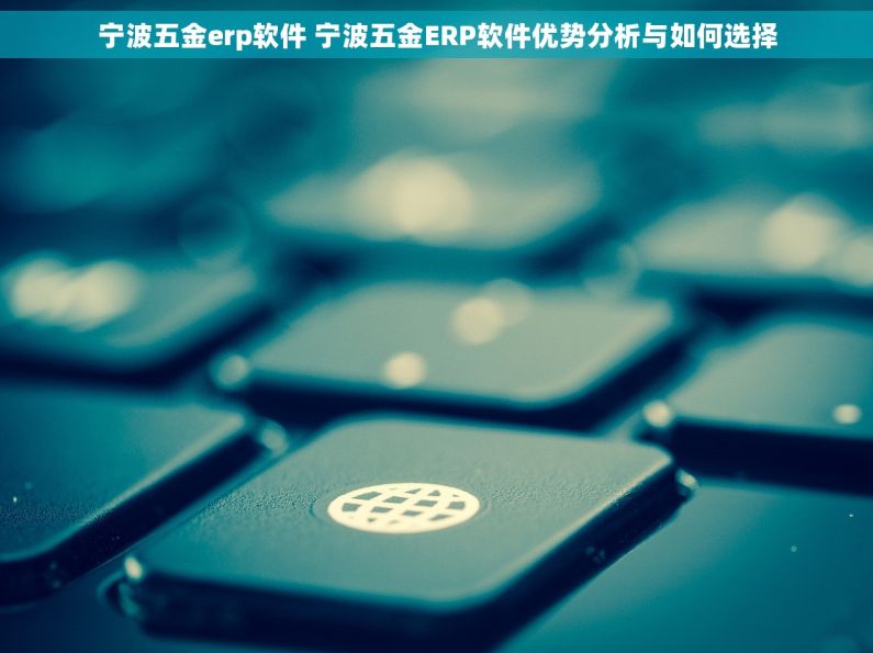 宁波五金erp软件 宁波五金ERP软件优势分析与如何选择