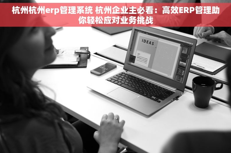 杭州杭州erp管理系统 杭州企业主必看：高效ERP管理助你轻松应对业务挑战