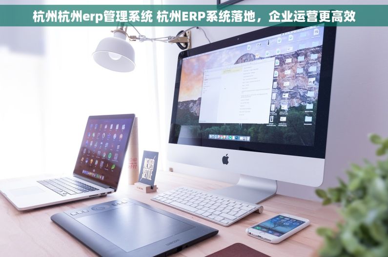 杭州杭州erp管理系统 杭州ERP系统落地，企业运营更高效