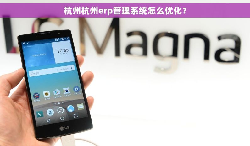 杭州杭州erp管理系统怎么优化？