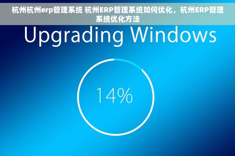 杭州杭州erp管理系统 杭州ERP管理系统如何优化，杭州ERP管理系统优化方法