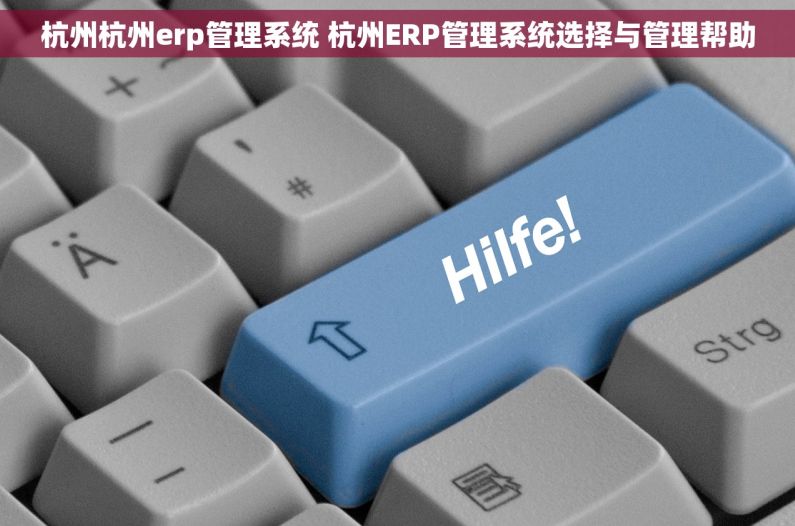 杭州杭州erp管理系统 杭州ERP管理系统选择与管理帮助