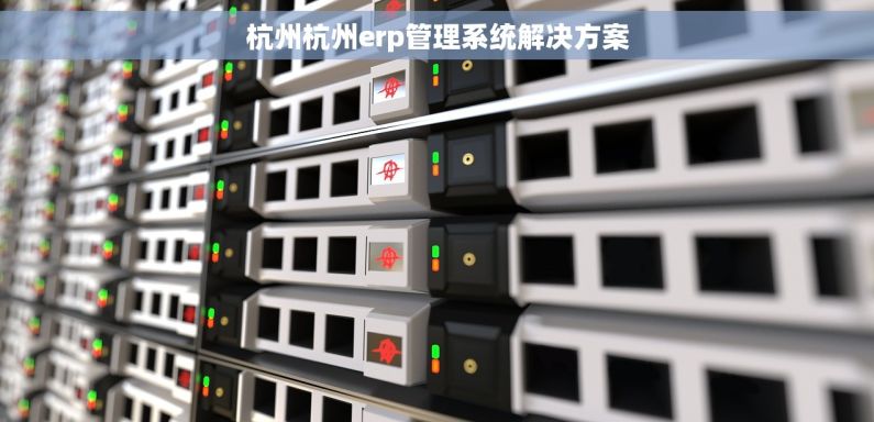 杭州杭州erp管理系统解决方案