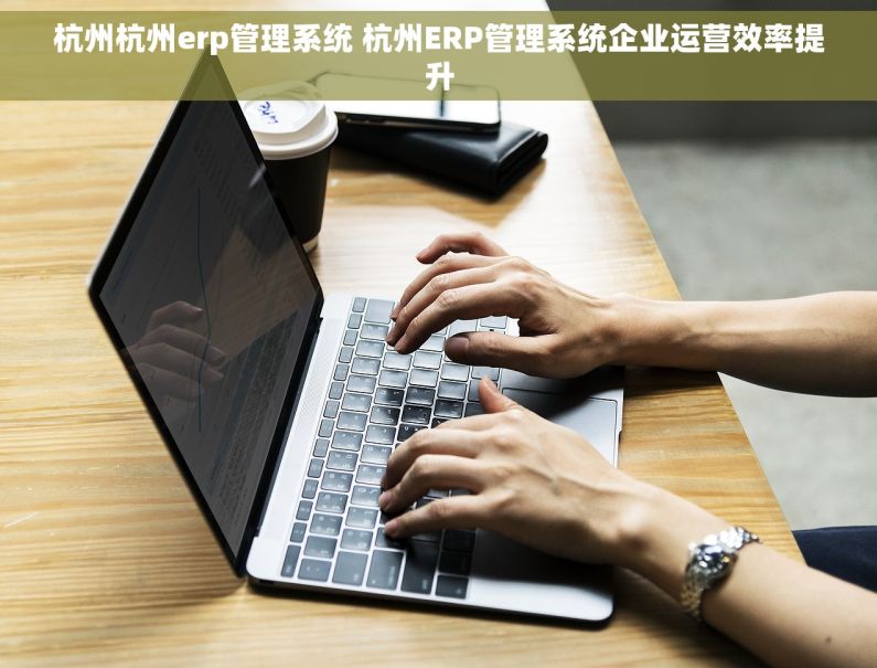 杭州杭州erp管理系统 杭州ERP管理系统企业运营效率提升