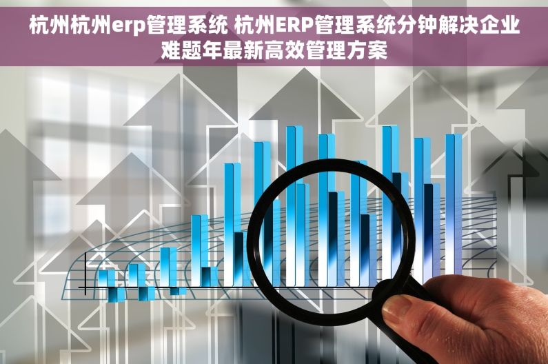 杭州杭州erp管理系统 杭州ERP管理系统分钟解决企业难题年最新高效管理方案