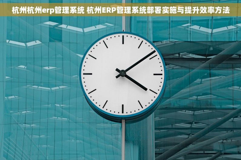 杭州杭州erp管理系统 杭州ERP管理系统部署实施与提升效率方法