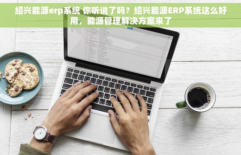 绍兴能源erp系统 你听说了吗？绍兴能源ERP系统这么好用，能源管理解决方案来了