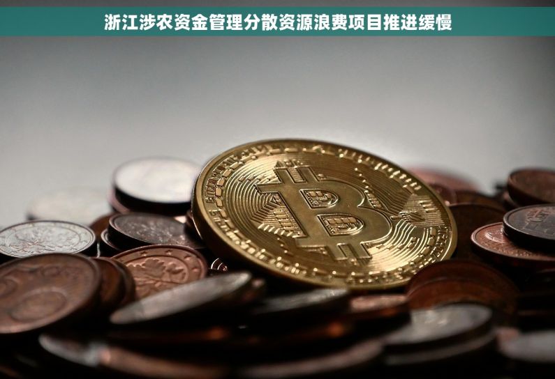 浙江涉农资金管理分散资源浪费项目推进缓慢