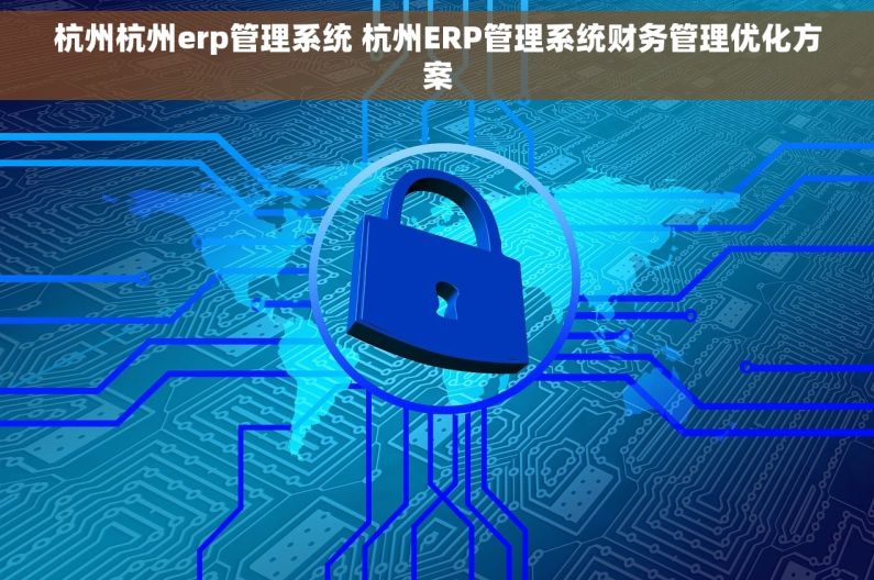 杭州杭州erp管理系统 杭州ERP管理系统财务管理优化方案