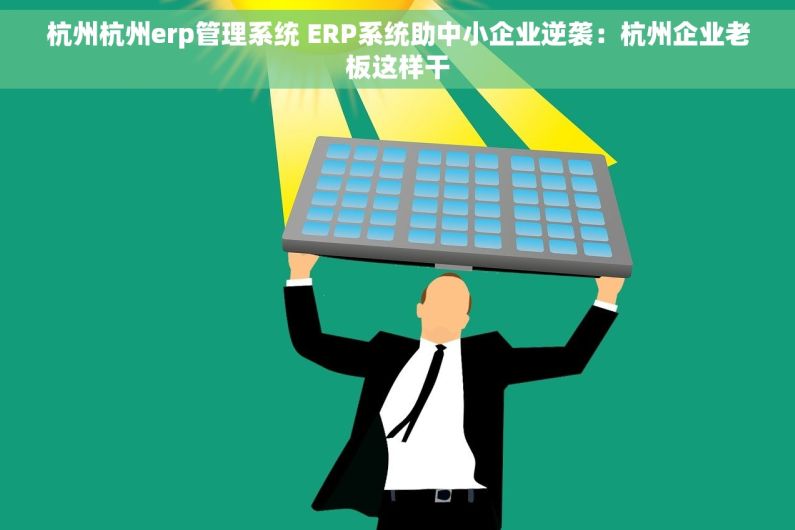 杭州杭州erp管理系统 ERP系统助中小企业逆袭：杭州企业老板这样干
