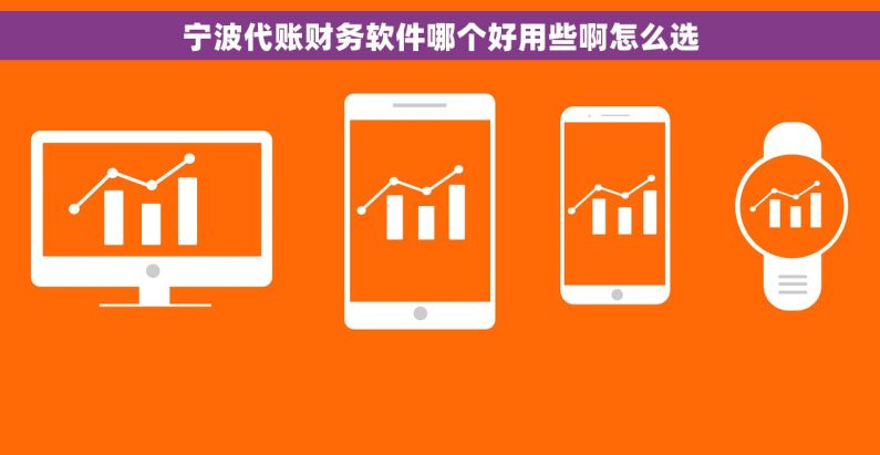 宁波代账财务软件哪个好用些啊怎么选