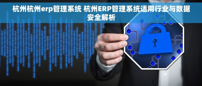 杭州杭州erp管理系统 杭州ERP管理系统适用行业与数据安全解析
