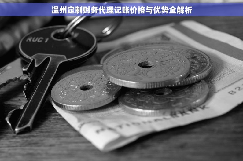 温州定制财务代理记账价格与优势全解析