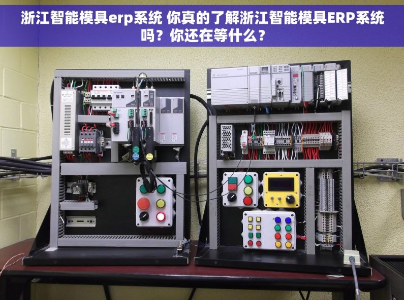 浙江智能模具erp系统 你真的了解浙江智能模具ERP系统吗？你还在等什么？