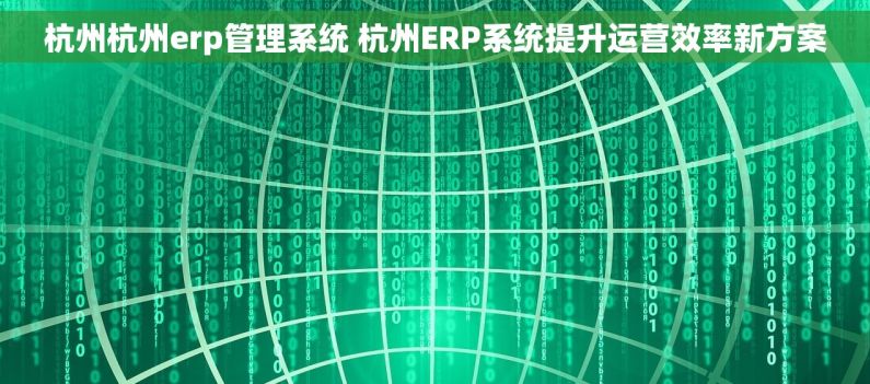 杭州杭州erp管理系统 杭州ERP系统提升运营效率新方案