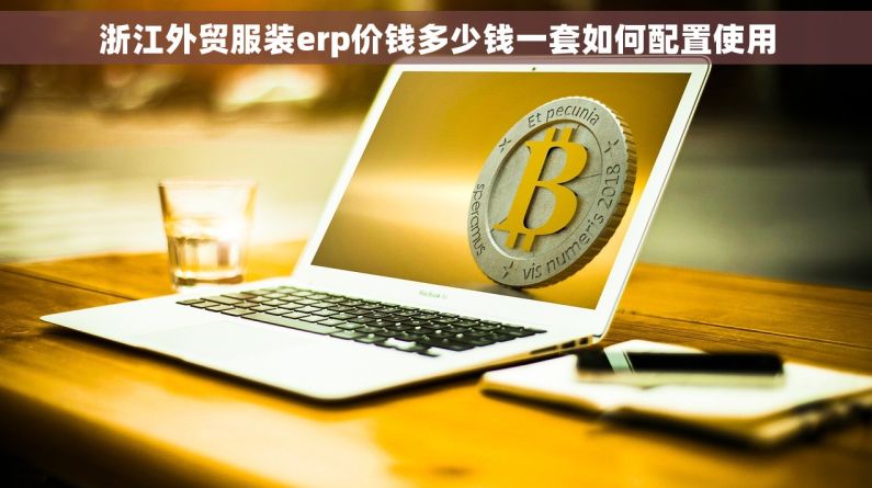 浙江外贸服装erp价钱多少钱一套如何配置使用 浙江外贸服装erp价钱多少钱一套如何配置使用