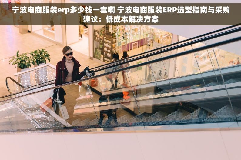 宁波电商服装erp多少钱一套啊 宁波电商服装ERP选型指南与采购建议：低成本解决方案