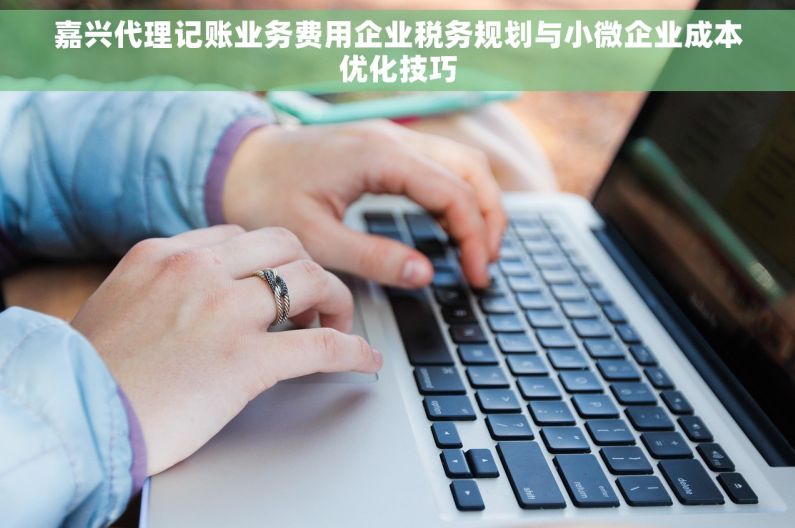 嘉兴代理记账业务费用企业税务规划与小微企业成本优化技巧
