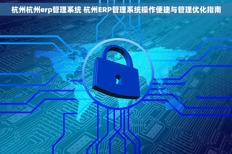杭州杭州erp管理系统 杭州ERP管理系统操作便捷与管理优化指南
