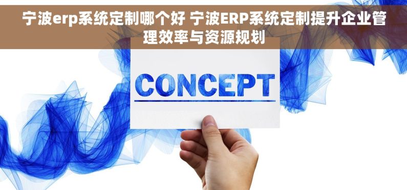 宁波erp系统定制哪个好 宁波ERP系统定制提升企业管理效率与资源规划
