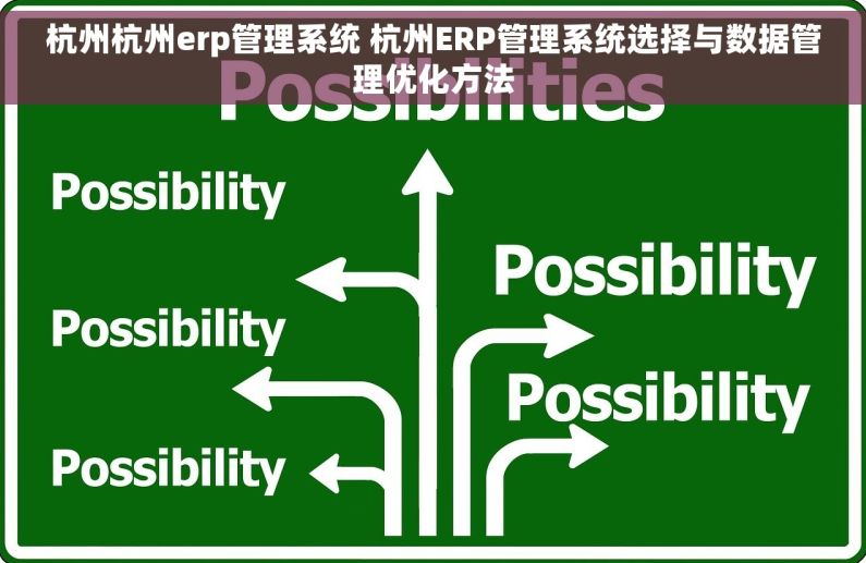 杭州杭州erp管理系统 杭州ERP管理系统选择与数据管理优化方法