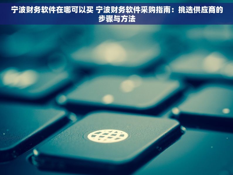 宁波财务软件在哪可以买 宁波财务软件采购指南：挑选供应商的步骤与方法