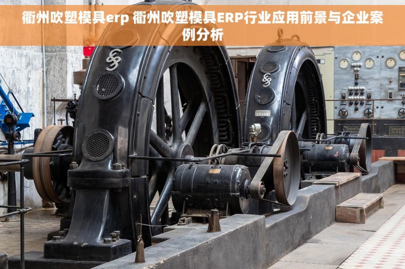 衢州吹塑模具erp 衢州吹塑模具ERP行业应用前景与企业案例分析