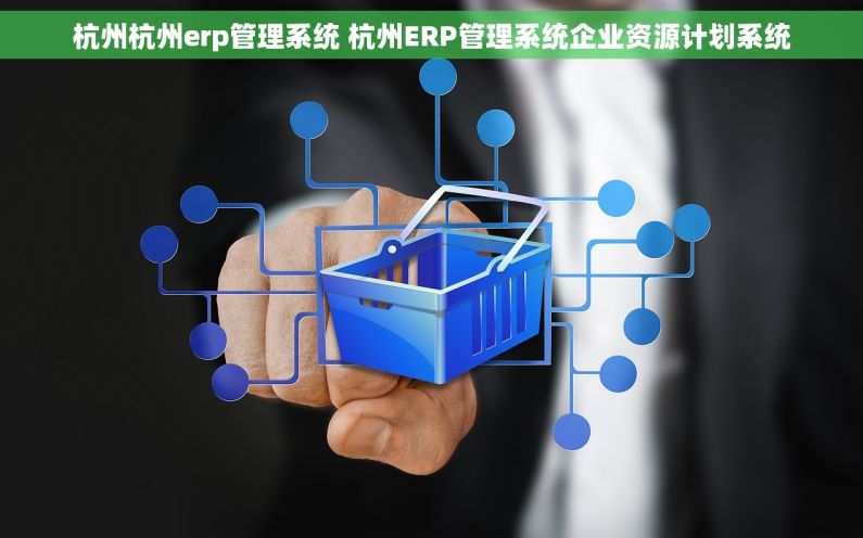 杭州杭州erp管理系统 杭州ERP管理系统企业资源计划系统