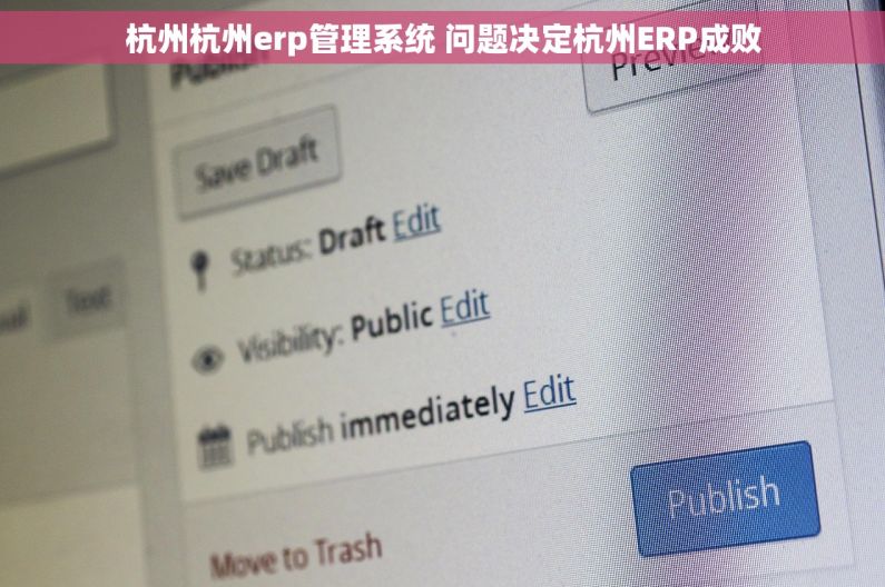 杭州杭州erp管理系统 问题决定杭州ERP成败