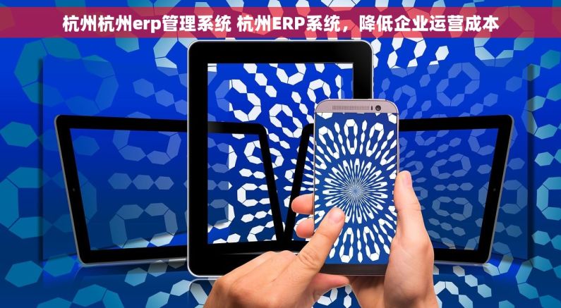 杭州杭州erp管理系统 杭州ERP系统，降低企业运营成本