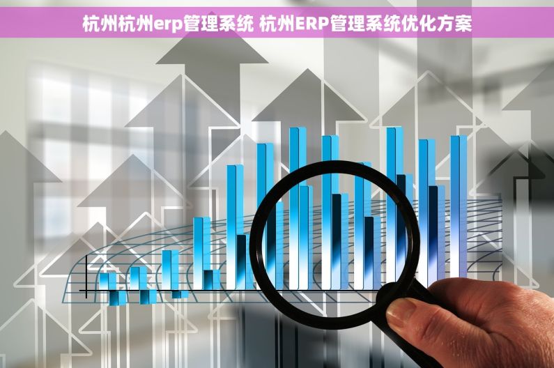 杭州杭州erp管理系统 杭州ERP管理系统优化方案