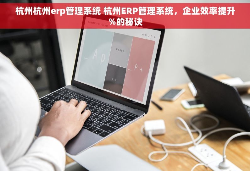 杭州杭州erp管理系统 杭州ERP管理系统，企业效率提升%的秘诀