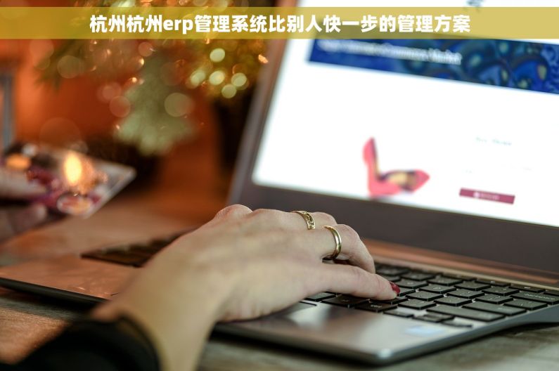杭州杭州erp管理系统比别人快一步的管理方案