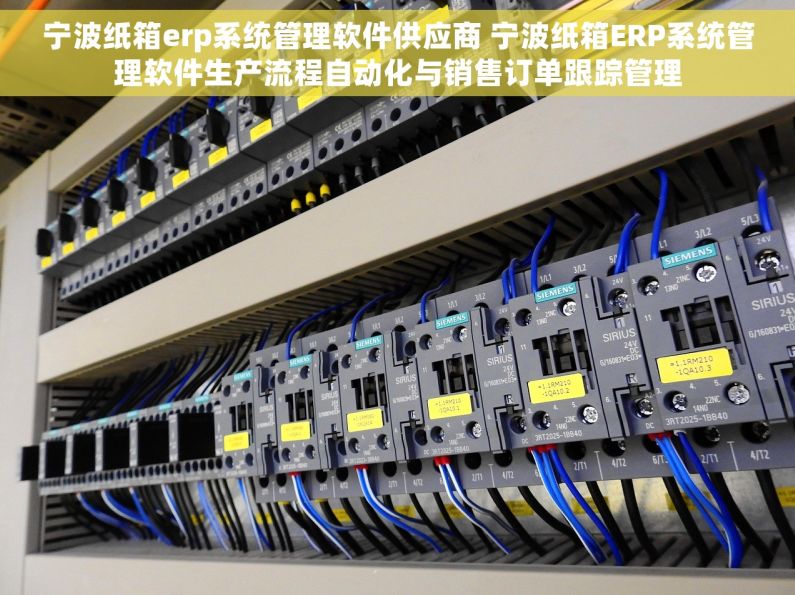 宁波纸箱erp系统管理软件供应商 宁波纸箱ERP系统管理软件生产流程自动化与销售订单跟踪管理