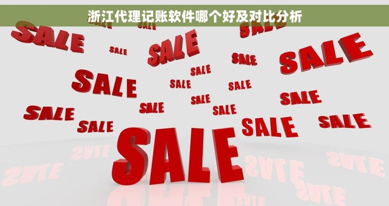 浙江代理记账软件哪个好及对比分析