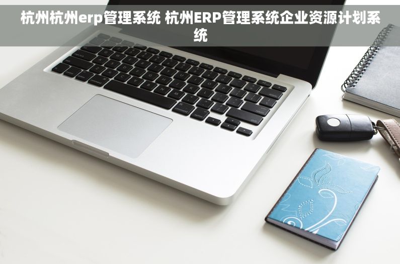 杭州杭州erp管理系统 杭州ERP管理系统企业资源计划系统
