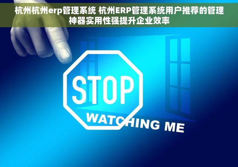 杭州杭州erp管理系统 杭州ERP管理系统用户推荐的管理神器实用性强提升企业效率