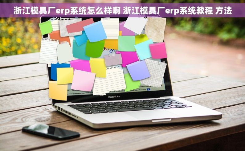 浙江模具厂erp系统怎么样啊 浙江模具厂erp系统教程 方法