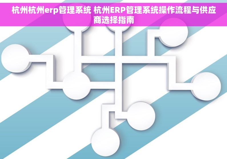 杭州杭州erp管理系统 杭州ERP管理系统操作流程与供应商选择指南