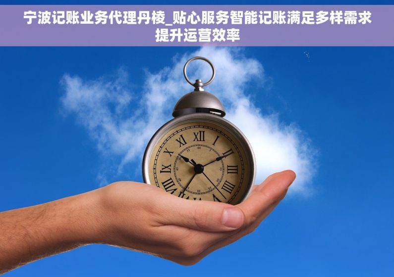 宁波记账业务代理丹棱_贴心服务智能记账满足多样需求提升运营效率