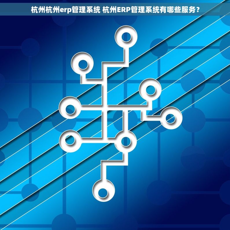 杭州杭州erp管理系统 杭州ERP管理系统有哪些服务？