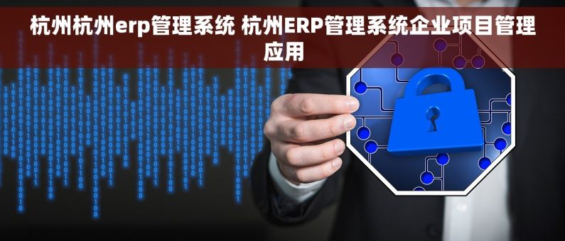 杭州杭州erp管理系统 杭州ERP管理系统企业项目管理应用