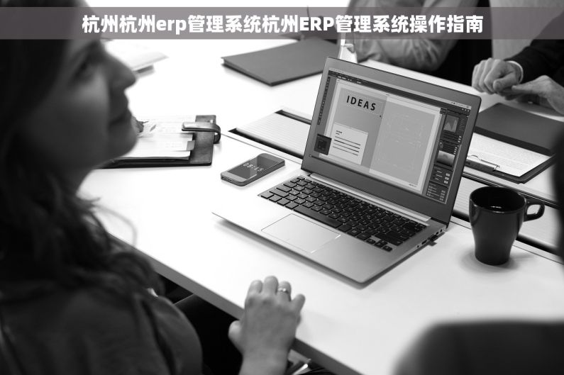 杭州杭州erp管理系统杭州ERP管理系统操作指南
