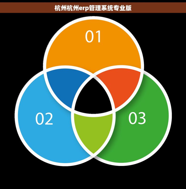 杭州杭州erp管理系统专业版